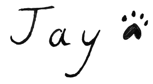 Jay Hawes